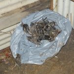 Contenu de la poubelle d'un poste après une belle matinée de passage...