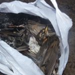 Contenu de la poubelle d'un poste de chasse voisin