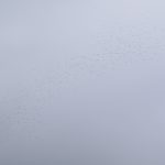 Groupe de plus de 500 cigognes blanches sortant d'un nuage